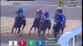 Zenyatta Greatest Race Horse Of All Time! Montage - All 19 Wins