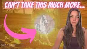 *HOT* foals! Breeding RANDOM horses on Rival Stars Horse Racing...