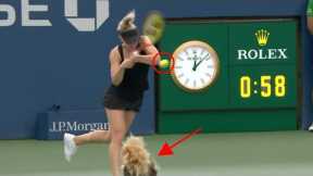 September Week #2 Best Plays & Fails in Sports | Highlights, Bloopers & Funny Moments | Sep 2022