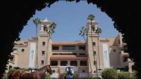 Horse Racing Immortality: The Continued Winning Streak of Racehorse Flightline