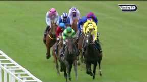 BAAEED beaten on final career start as Bay Bridge lands Champion Stakes