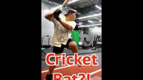 Can a Baseball Player Hit a Home Run With a Cricket Bat?