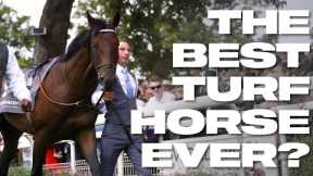 BAAEED: The Best Turf Horse Ever?