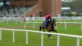 Facile Vega  stunning on hurdles debut - Racing TV