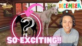 Our FIRST DECEMBER foals for 2022!! Rival Stars Horse Racing