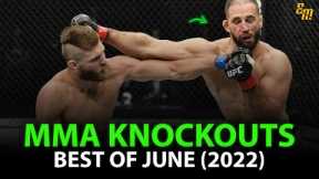 MMA Knockouts | Best Knockouts of June (2022)