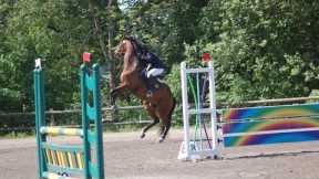 HORSE FAILS AND FALLS (MUST WATCH)