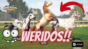 Breeding my WERIDEST horses... Rival Stars Horse Racing