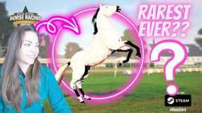 Now THIS is the RAREST horse I've EVER had on Rival Stars Horse Racing...