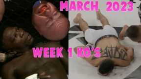 The best MMA & Boxing Knockouts I March 2023 Week 1| UFC