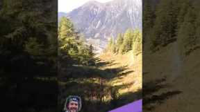 #2) Wingsuit Pilot Crashes Into Trees ▪︎ Extreme Sports GONE WRONG