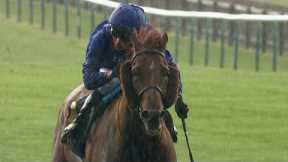 Back to his best! Hurricane Lane romps to Jockey Club success at Newmarket!