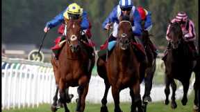 😲 Desert Crown is beaten on his return as Hukum wins thrilling Brigadier Gerard battle!