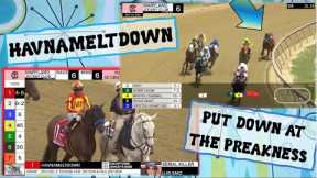 Havnameltdown KILLED AT PREAKNESS 2023 #horseracing