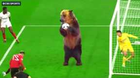 20 Most WTF Moments in Sports History..