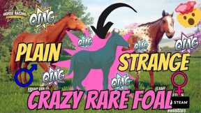 PLAIN + STRANGE = THE CRAZIEST FOAL I'VE EVER SEEN!! RIVAL STARS HORSE RACING