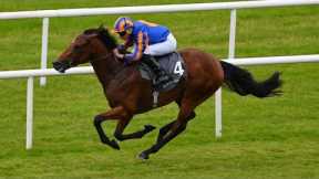 He looks very good! HENRY LONGFELLOW creates quite the impression on debut