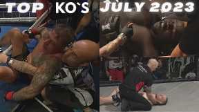MMA's Best Knockouts of the July 2023, HD | Part 1