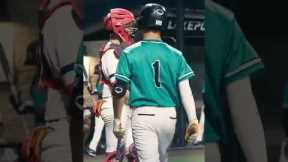 Would You TRADE Your Baseball Bat For a MYSTERY BAT? #shorts #baseball