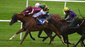 150/1 outsider Magellan Strait lands €600,000 Irish Cesarewitch