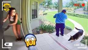 80 Incredible Moments Caught on Camera