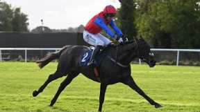 Quevega's daughter Aurora Vega remains unbeaten