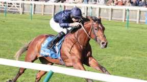 Racing's new superstar? City Of Troy draws comparisons with Frankel in Dewhurst romp