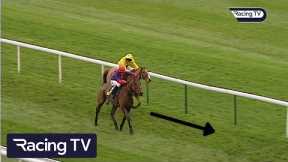 You won't believe what happens at the end of this race