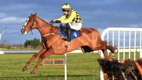 👀 DADDY LONG LEGS looks smart for Willie Mullins | Racing TV