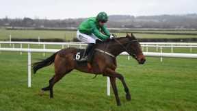 Champion Bumper contender? JASMIN DE VAUX creates deep impression on Rules debut at Naas