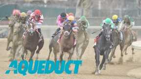 Aqueduct Simulcasting - February 16, 2024