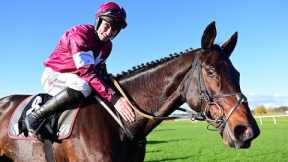 BRIGHTERDAYSAHEAD set for the Mares Novice Hurdle after passing Navan test