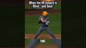 The Hitter REALLY wanted Time! #baseball