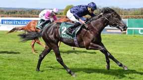 Expensive buy Camille Pissarro dazzles on debut