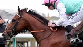 Frankel's half-brother KIKKULI wins impressively at Newmarket for Harry Charlton