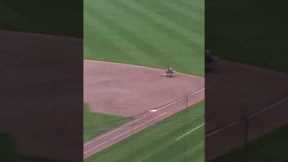 Nothing like some snow baseball  #orioles #baseball