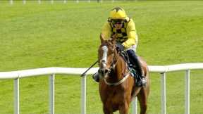 DADDY LONG LEGS kick starts Paul Townend's winning tally at the 2024 Punchestown Festival