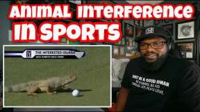 Craziest “Animal Interference” Moments In Sports History | REACTION