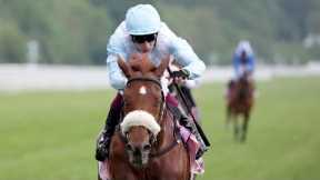 GIAVELLOTTO strikes again in Yorkshire Cup as Tower Of London disappoints