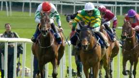 MYSTICAL POWER storms home in the 2024 KPMG Champion Novice Hurdle at the Punchestown Festival