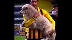 Rare Moments with Animals 🤯 #4