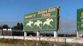Last horse race at Golden Gate Fields brings mixed reactions from fans, animal advocates