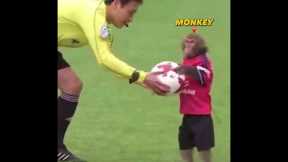 Rare Moments with Animals 🤯#8