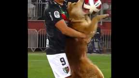 Rare Moments with Animals 🤯 #9