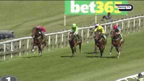 €460,000 purchase SHAREHOLDER Royal Ascot bound after Two Year Old Trophy win