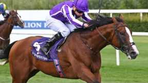 Meld Stakes winner DIEGO VELAZQUEZ could be bound for Cox Plate | Racing TV