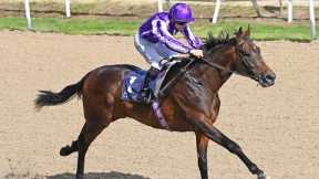 $1.8 million purchase BERNARD SHAW stamps class at Dundalk