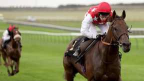 Wow! Al Nayyir looks a stayer going places after this incredibly easy Newmarket win!