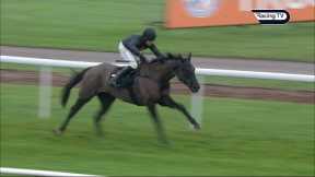 ROYAL INFANTRY impresses at Haydock
