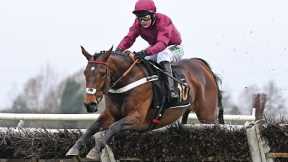 €1.4m buy PALLADIUM makes winning start for Henderson with workmanlike win